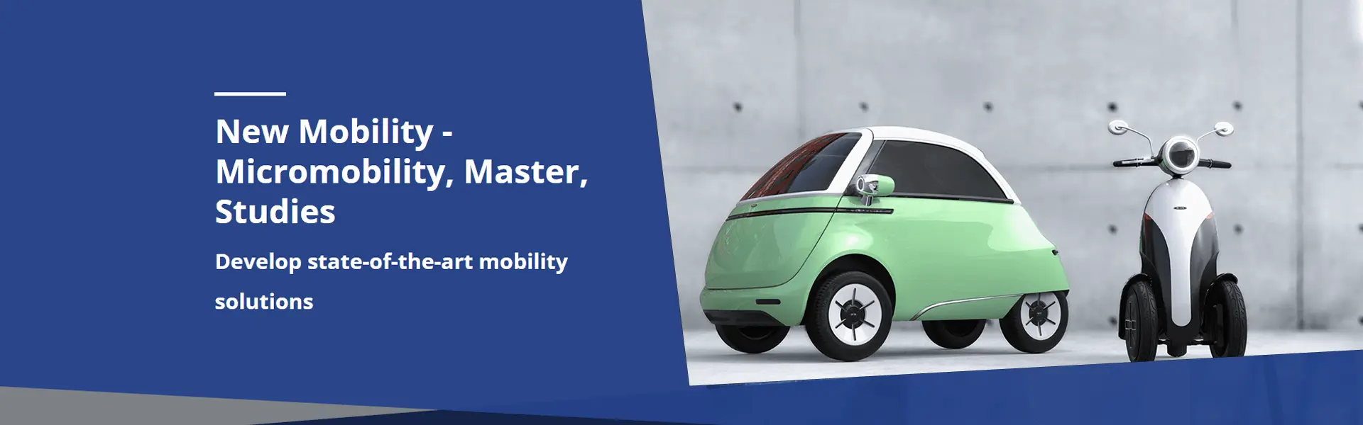 New Mobility - Micromobility